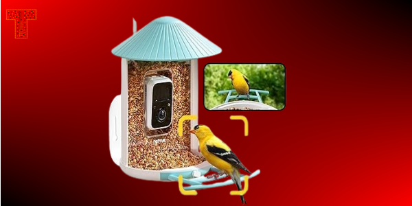 NETVUE Birdfy AI Smart Bird Feeder with Camera Ideal Gift 